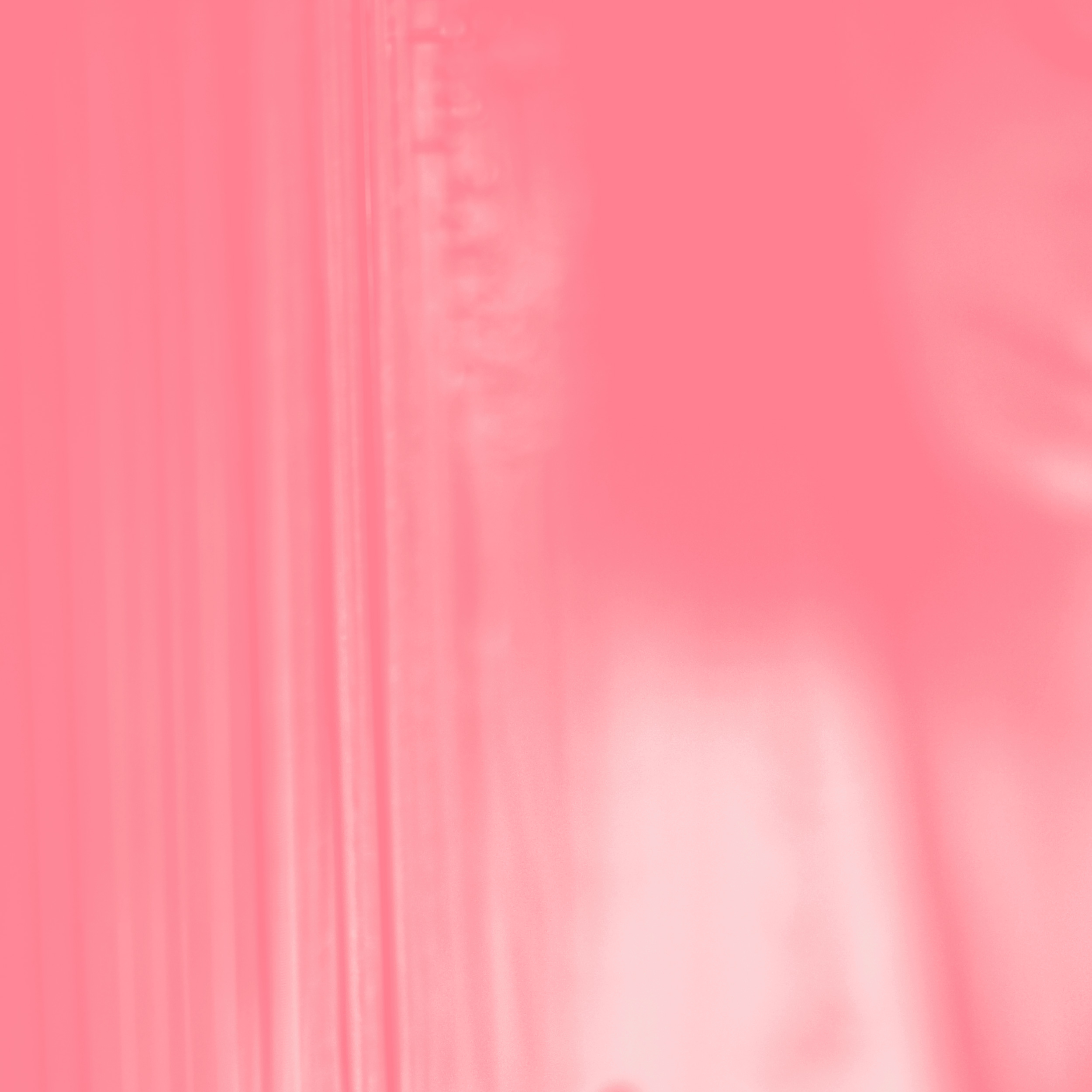 Pinkcourtesyphone + Gwyneth Wentink — Elision